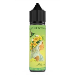 Alaris 50 ml - bordo2