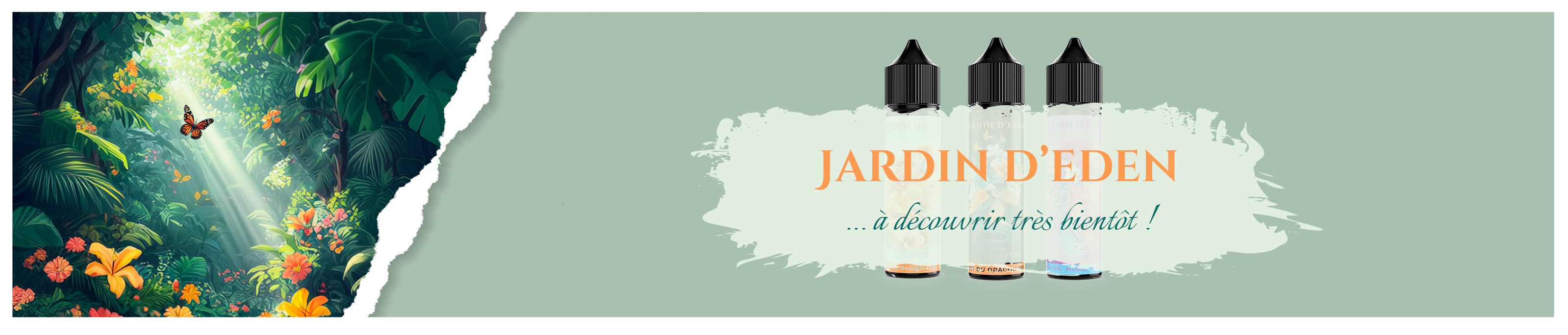 Terroir et Vapeur / Bordo2
