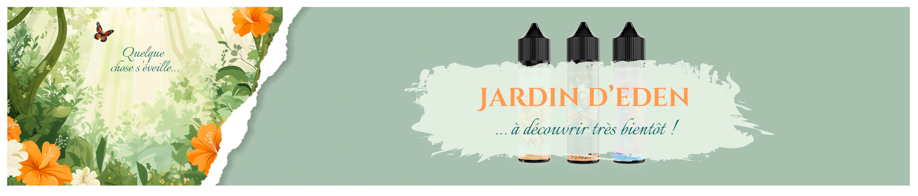 Terroir et Vapeur / Bordo2